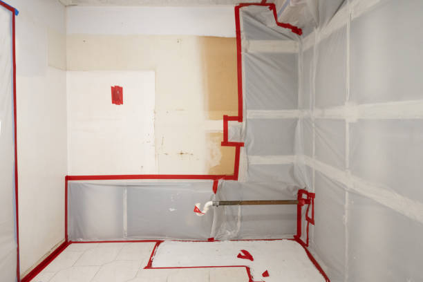 Best Forensic Mold Investigation  in Gifford, FL