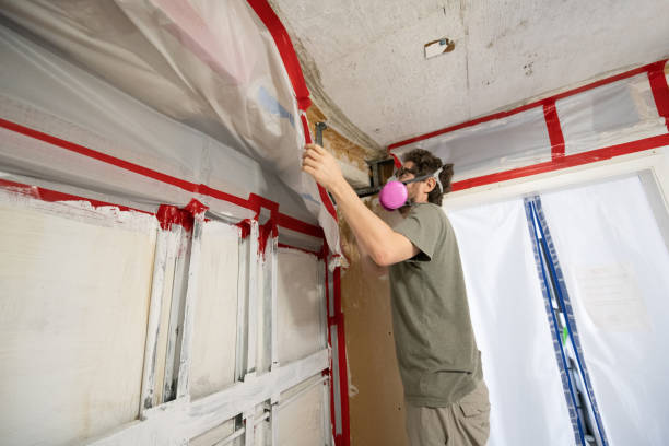 Best Mold Prevention Services  in Gifford, FL